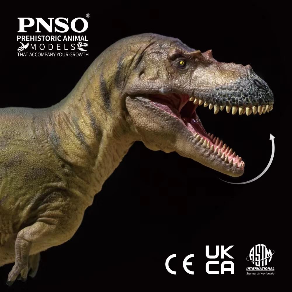 Amazon | BACALYSO | PNSO 成長シリーズ 72 アルバートサウルス